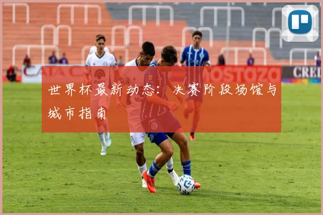 世界杯最新动态：决赛阶段场馆与城市指南