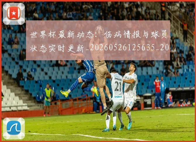 世界杯最新动态：伤病情报与球员状态实时更新_20260526125635_20260607160339