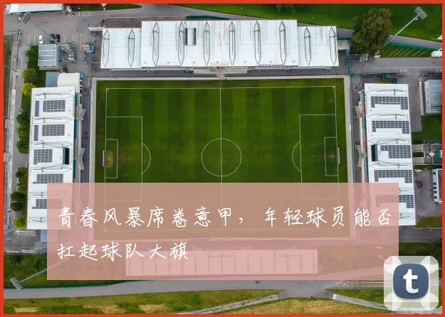 青春风暴席卷意甲，年轻球员能否扛起球队大旗
